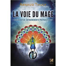La Voie du Mage - Bien débuter : entrainements préparatoires