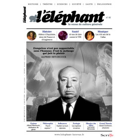 Elephant - N° 45