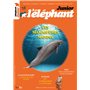 Elephant Junior - N° 22