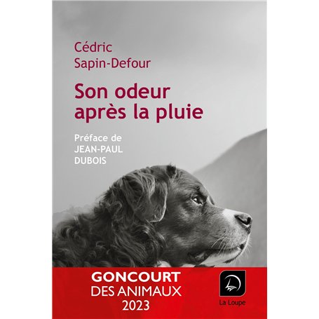 Son odeur après la pluie