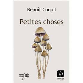 Petites choses