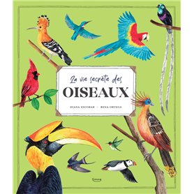La Vie secrète des oiseaux