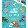 Malin comme un singe