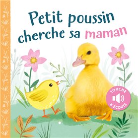 Petit poussin cherche sa maman