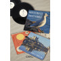 Mouettes et Rock'N'Roll