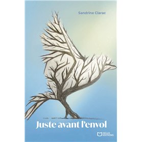 Juste avant l'envol