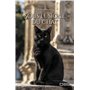 Sous le signe du chat