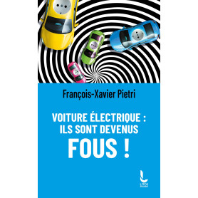 Voiture électrique : ils sont devenus fous !