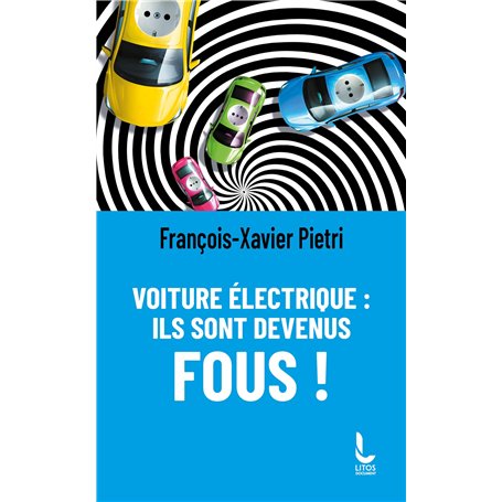Voiture électrique : ils sont devenus fous !