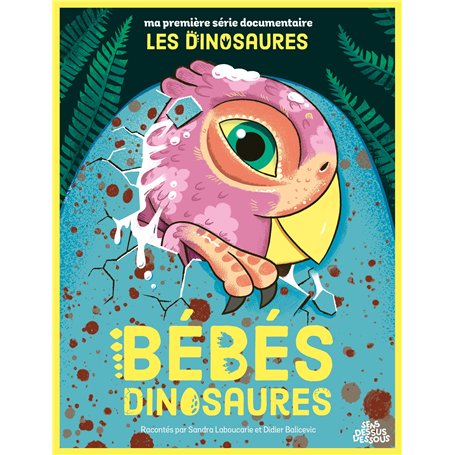Bébés dinosaures