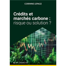 Crédits et marchés carbone :  risque ou solution ?