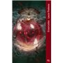 Damnatio memoria - Tome 01 Ensorcelée (poche)