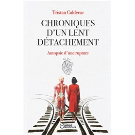 Chroniques d'un lent détachement - Autopsie d'une rupture