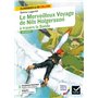 Le Merveilleux Voyage de Nils Holgersson à travers la Suède