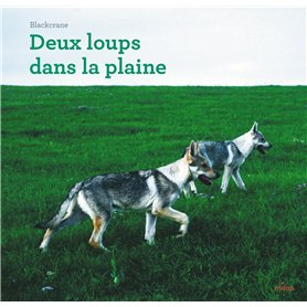 Deux loups dans la plaine