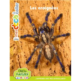 Bioviva - Les araignées