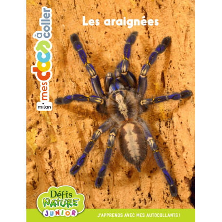 Bioviva - Les araignées