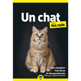 Un chat pour les nuls