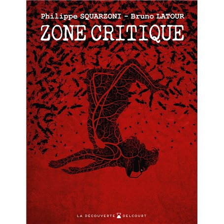 Zone critique