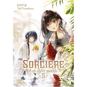 Sorcière d'un autre monde T05