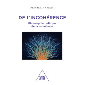 De l'incohérence