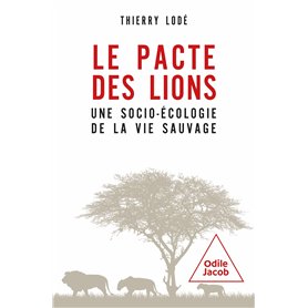 Le pacte des lions
