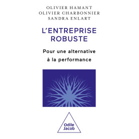 L'Entreprise robuste