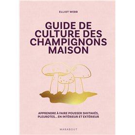 Le sel de la vie ne se trouve pas à l'épicerie