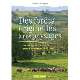 Des forêts originelles à nos paysages