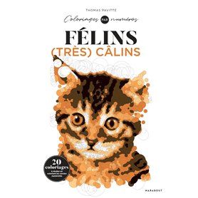 Colo by number - félins très calins