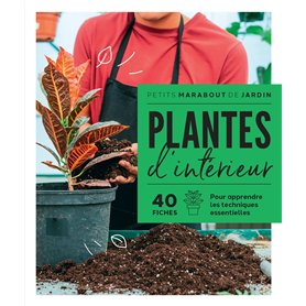 Plantes d'intérieur