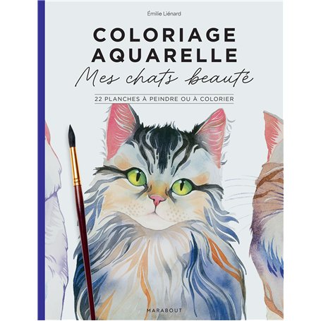 Mes chats beautés