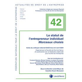 Le statut de l'entrepreneur individuel
