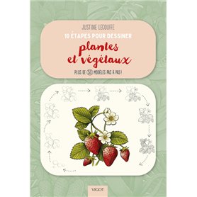 10 étapes pour dessiner plantes et végétaux
