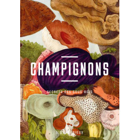 Champignons - Secrets des sous-bois