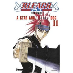 Bleach - Tome 11