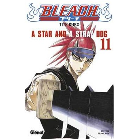 Bleach - Tome 11