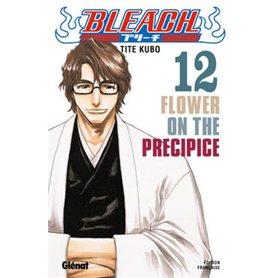 Bleach - Tome 12