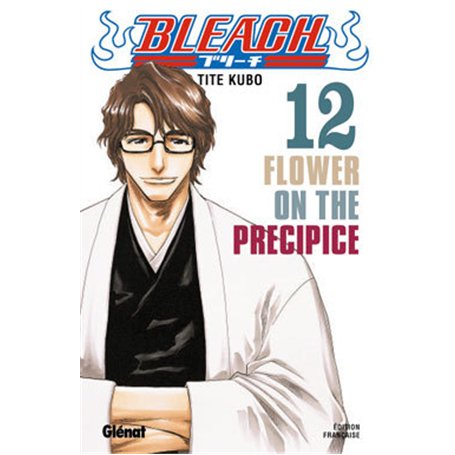 Bleach - Tome 12