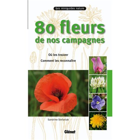 80 fleurs de nos campagnes