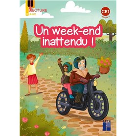 Un week-end inattendu - Piano CE1 Série 1 -Période 5 - Pack de 5