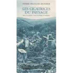 Les Cicatrices du paysage