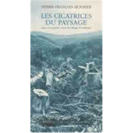 Les Cicatrices du paysage