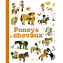 Poneys et chevaux