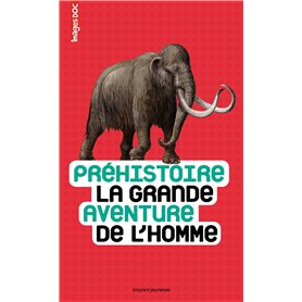 Préhistoire