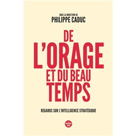 De l'orage et du beau temps - Regards sur l'intelligence stratégique