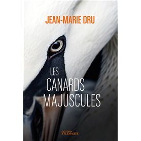 Les canards majuscules