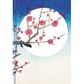 Carnet Hazan gaufré Lune 16 x 23 cm (papeterie)