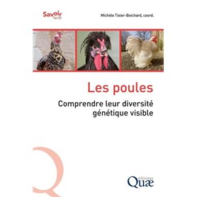 Les poules