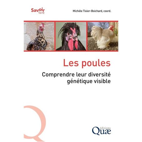 Les poules